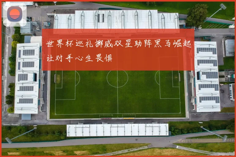 世界杯巡礼挪威双星助阵黑马崛起让对手心生畏惧
